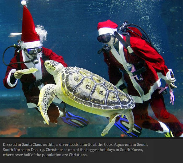 ΑΓΙΟΣ ΒΑΣΙΛΗΣ και ΖΩΑΚΙΑ