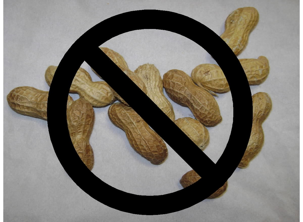 Free Posters and Signs No peanuts