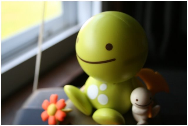 [44071246460832[1].jpg]