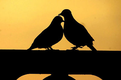 [200948163826_084chim[1].jpg]