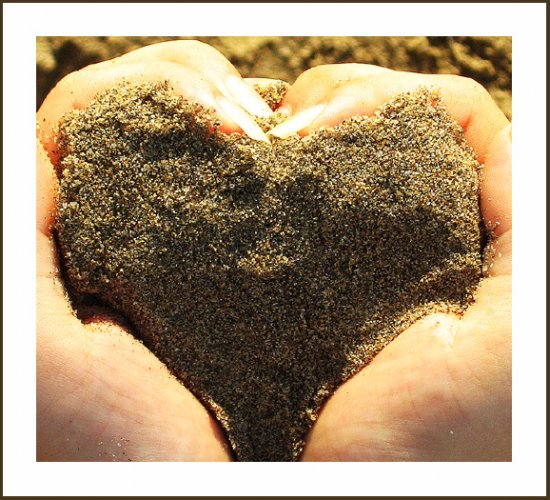 [11176561229000435[1].jpg]