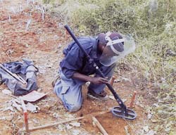 [minas_desminagem.jpg]