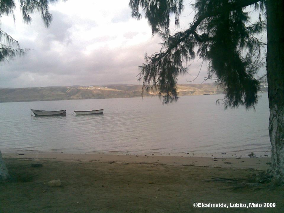 [Lobito-restinga1a_29mai2009.jpg]