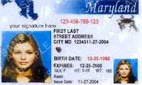 maryland loses track of state id cards