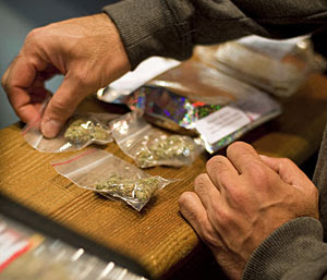 oakland marijuana law passes; 'pot factories' coming to bay area