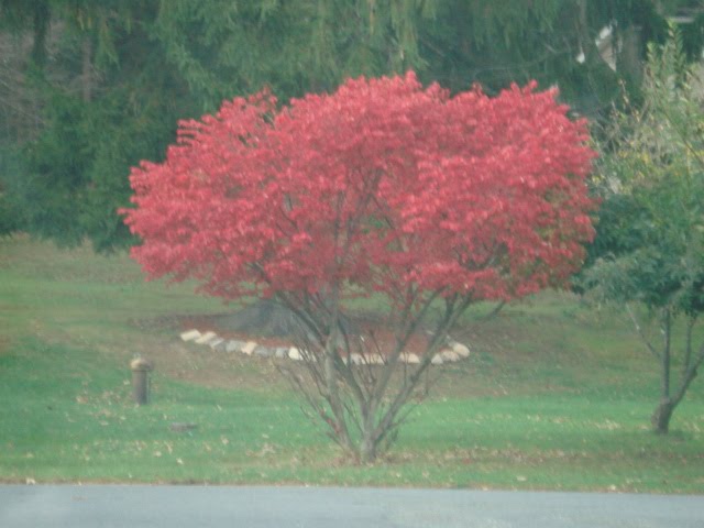 [Mike+Babb+n+Kids+10.25.09+072.jpg]