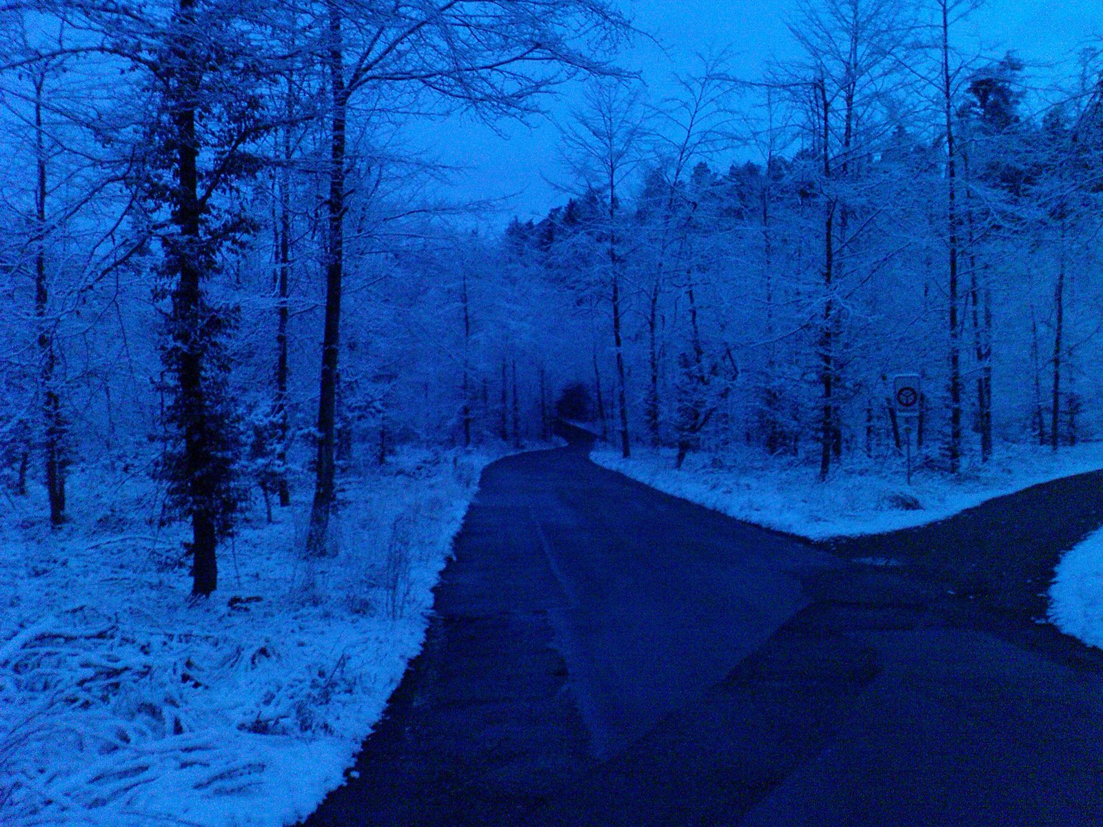 [DSC00165-796473.JPG]