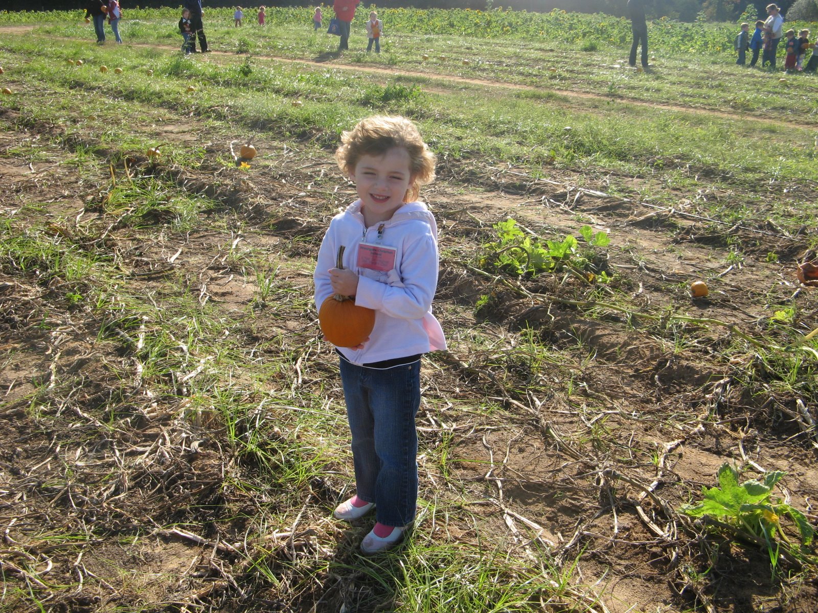 [IMG_3180.JPG]