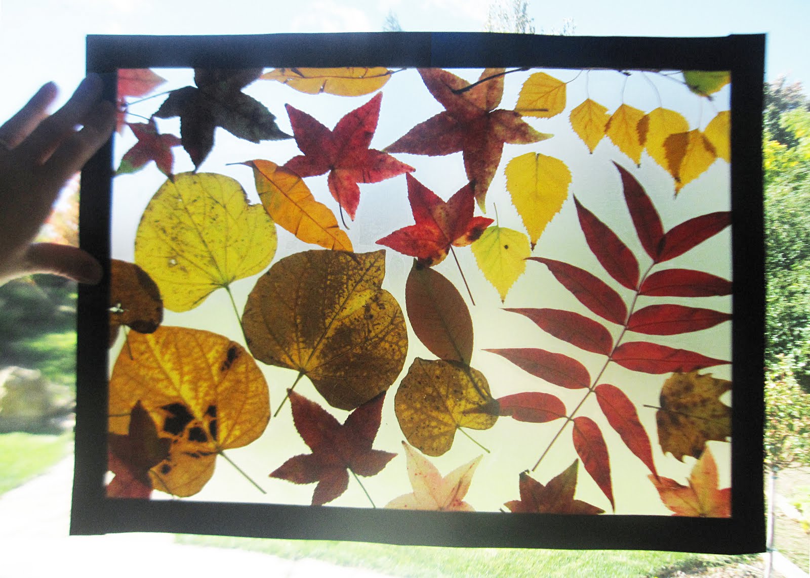 simplify Leaf placemats