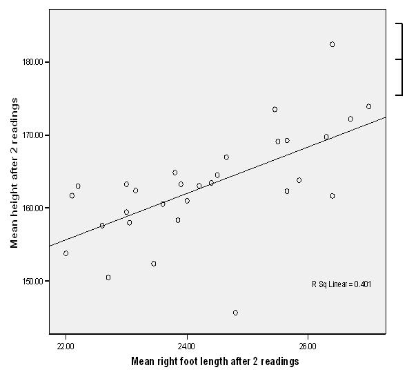 Update data scatter plot matplotlib - simplegola