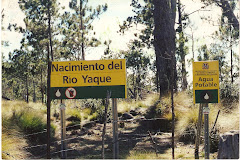 NACIMIENTO DEL RIO YAQUE