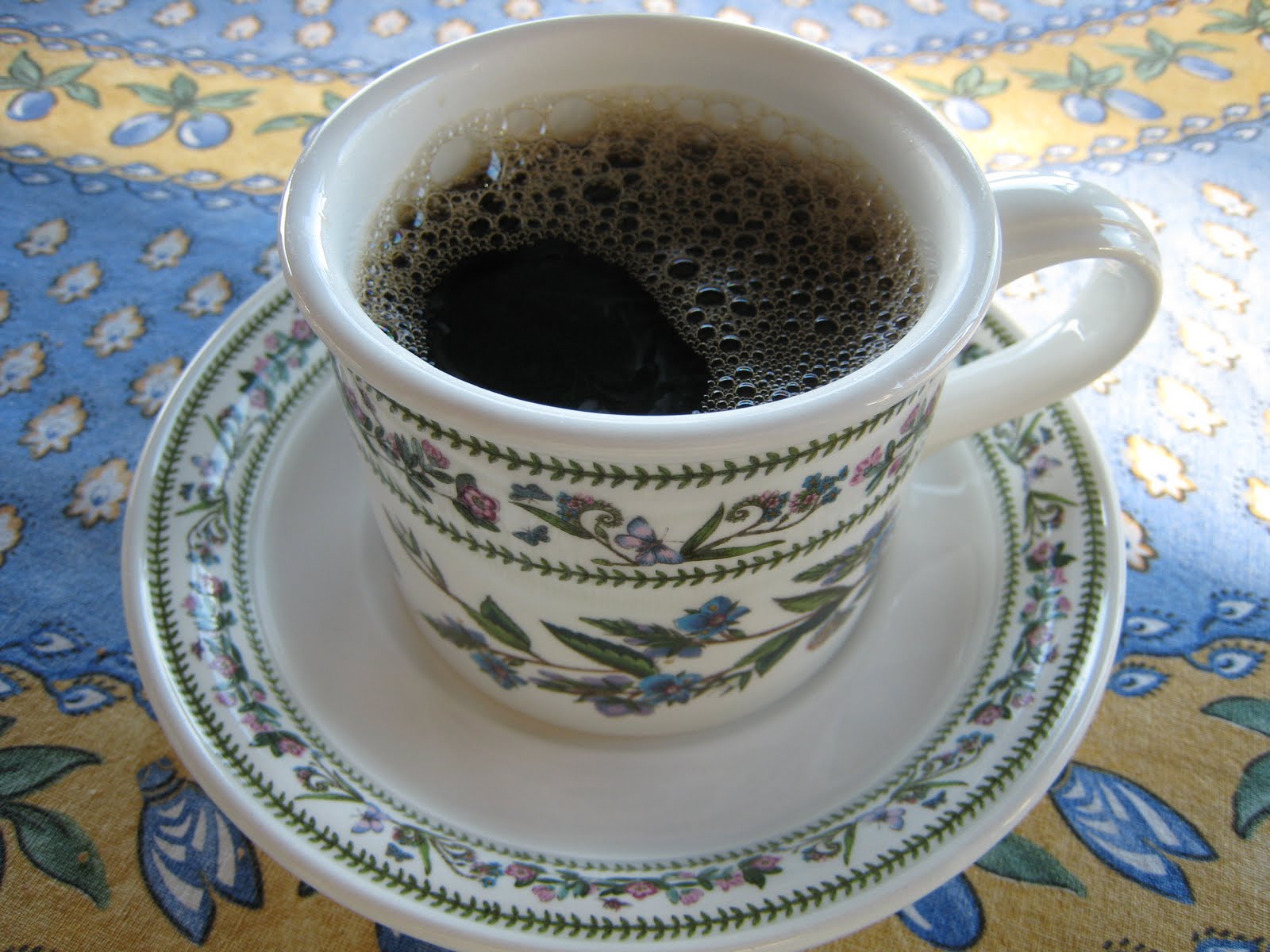 Zoomie Station Coffee Klatch