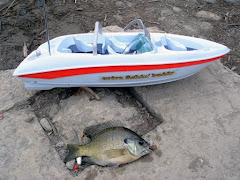 Remote Control Fishing; Blue Gill, UT