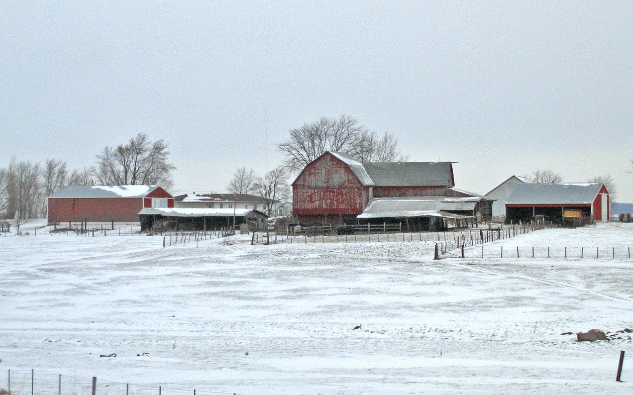 [fieldIA_0257-2.jpg]