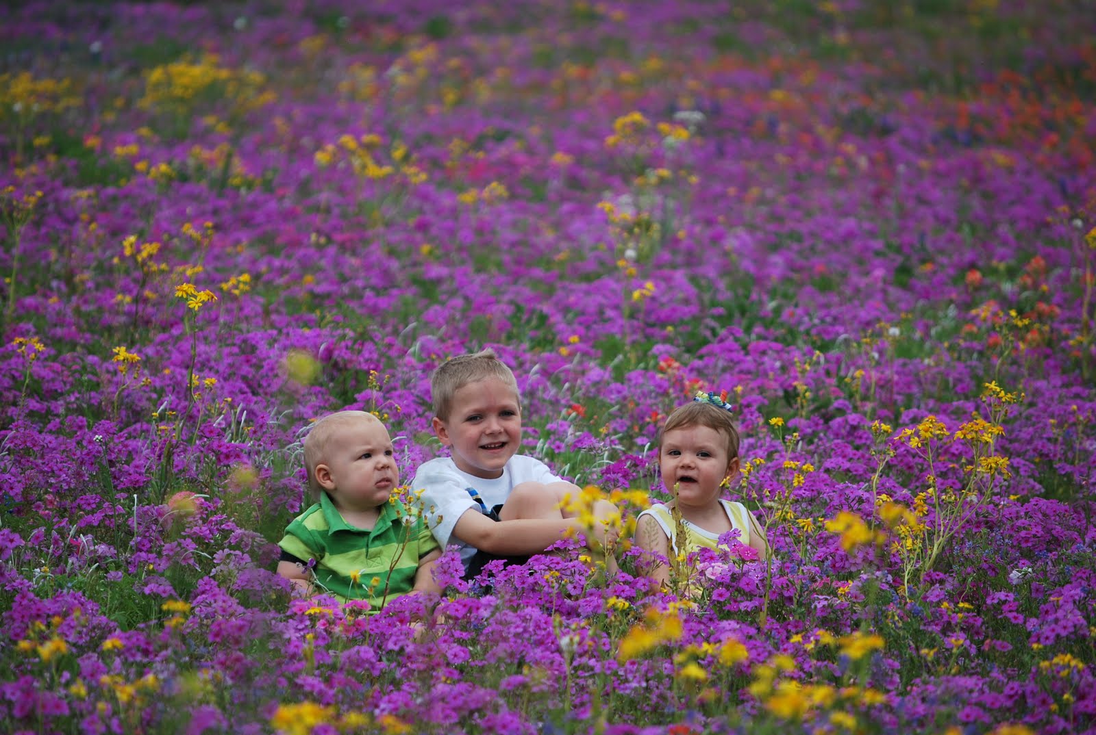 The Benich Family: Texas Wildflowers