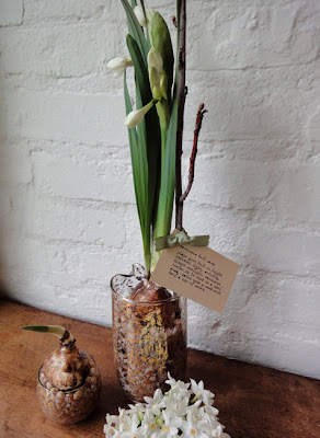 Immagini Di Mazzi Di Fiori Da Scaricare Bigwhitecloudrecs