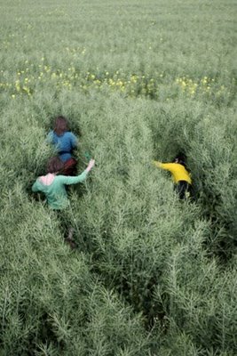 [photo+by+lisa+wassmann..jpg]