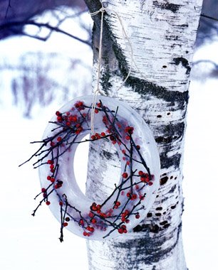 [iceprojects2_minh%2Bwass.jpg]