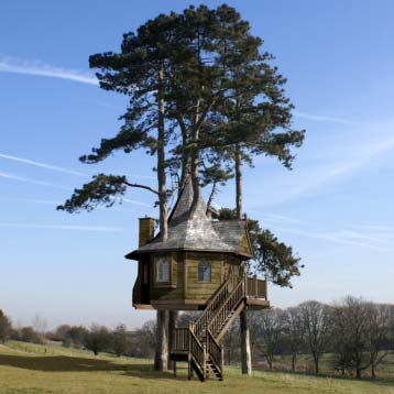 Amazon Treehouse