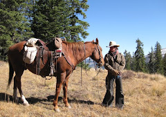 Gin Getz of High Mountain Horse