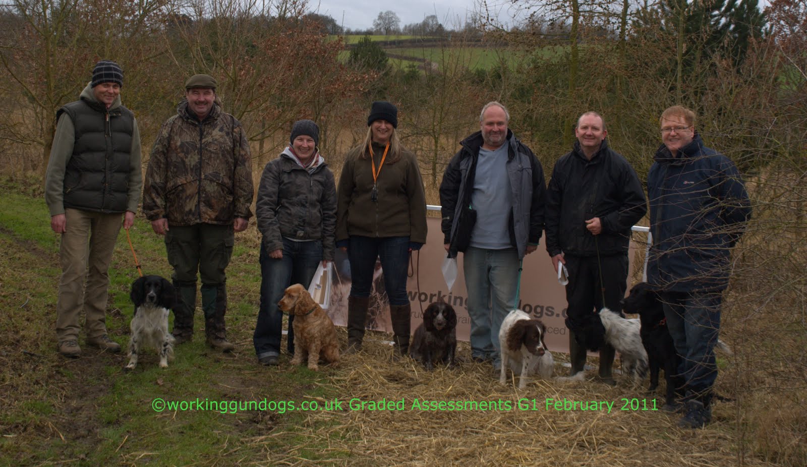 Working Gundogs Gundog Training Graded Assessments February 2011