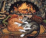 The fireside cat