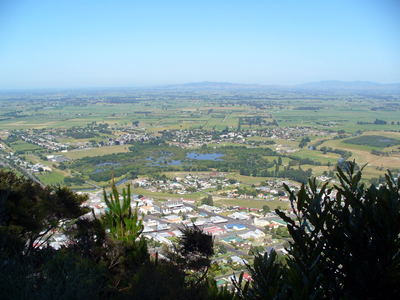 Dutchcorner Te Aroha