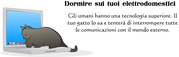 Il Mio Gatto Mi Morde Mentre Dormo