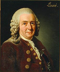 [250px-Carl_von_Linné.jpg]