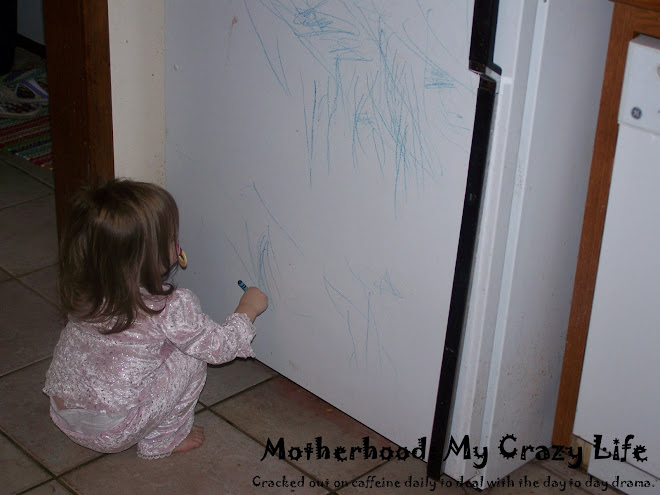 Motherhood: My Crazy Life