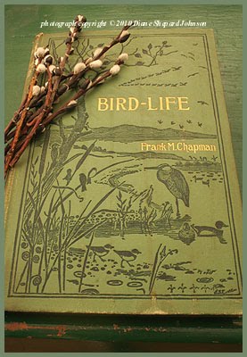 [Bird+Life+Book+Photo+by+DSJ.jpg]