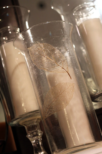 iskelet-pano-seffaf-iskelet-dekor-mumluk-samdan