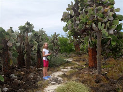 Shelby in a cactus garden