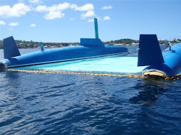 The capsized Anna