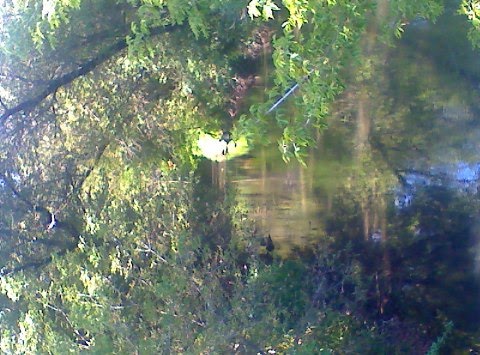 [JATrail+091309-002.jpg]