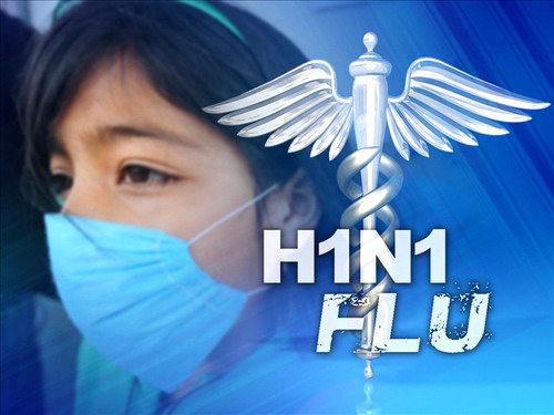 [h1n1-swine-flu.jpg]