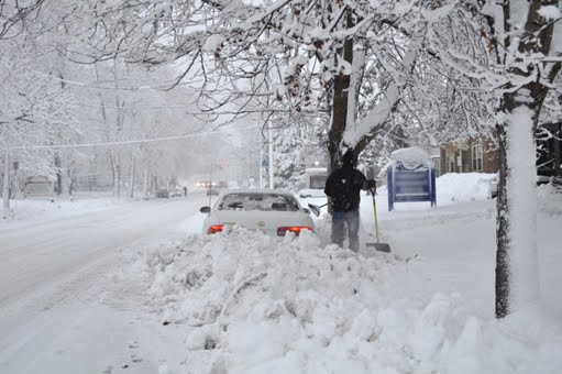 [DSC_0800.JPG+-+LowRes.JPG]