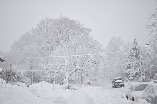 [DSC_0822.JPG+-+LowRes.JPG]