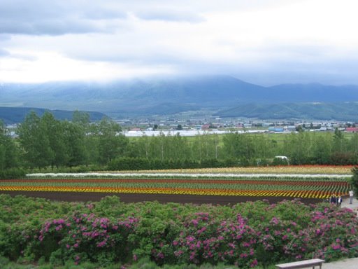 [Farm1a_IMG_3994.JPG]