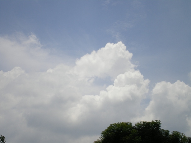 [IMGP3185.JPG]