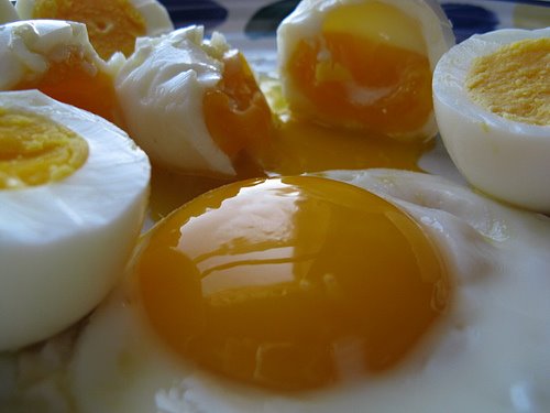 [perfect_eggs_1.jpg]