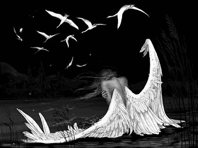 Gracias Amigo Like an Angel With Broken Wings