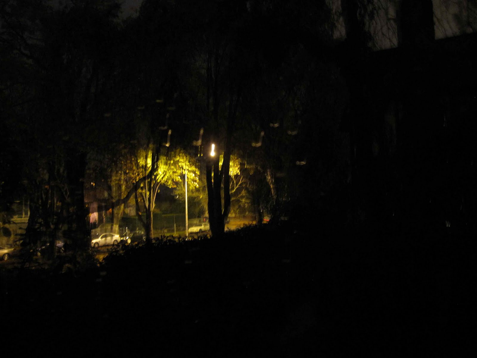 [IMG_night+light.jpg]