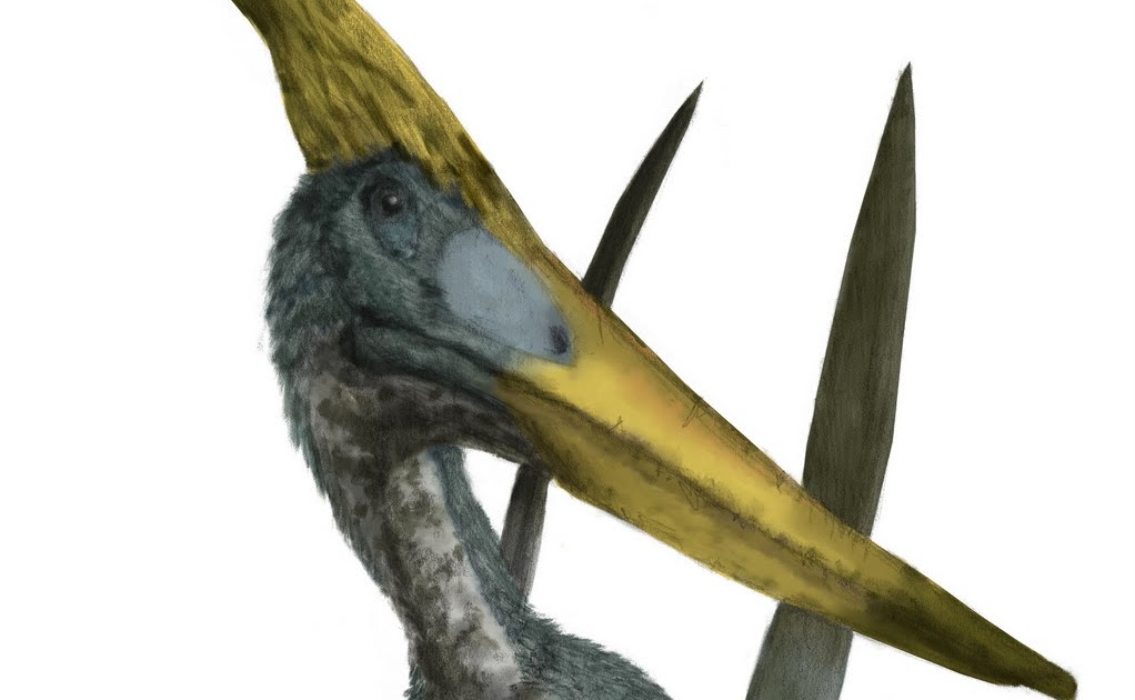 Добрая мама птеранодон. Шайни Птеранодон. Мама Птеранодон. Птерозавр с рогом на голове. Птеранодон с перьями.