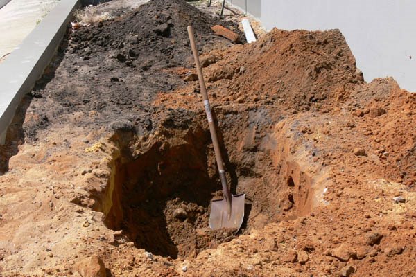 [grass-tree-hole.jpg]