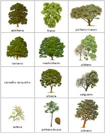 Conhecer as árvores