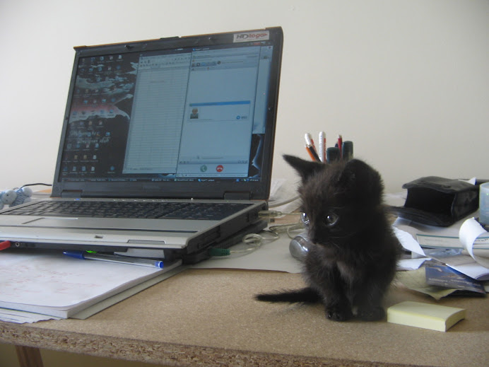 Gatita Doris