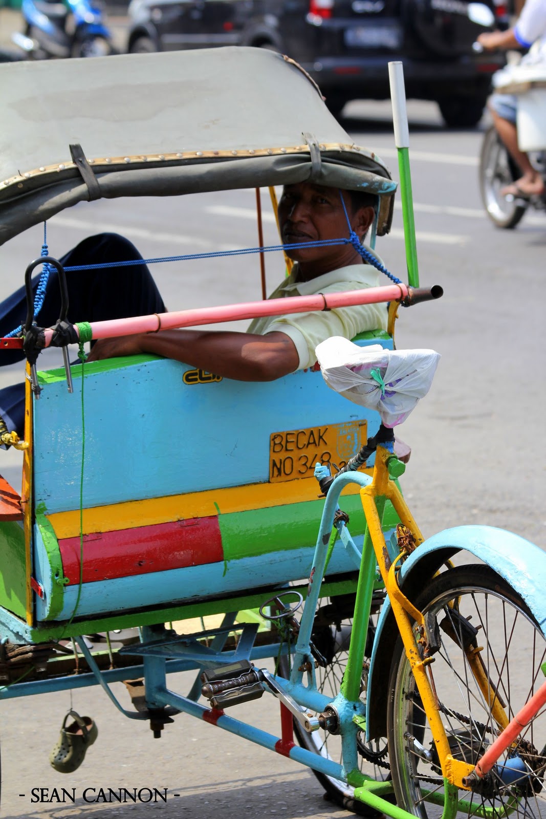 Jungle Aviator: A Ride on the Becak