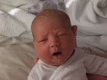 Newborn Owen