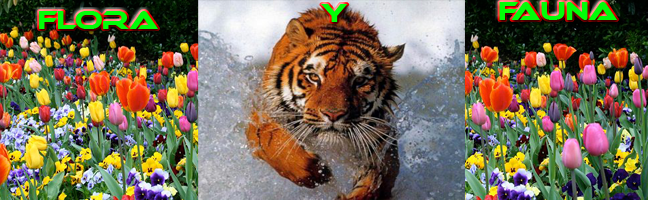 Flora y Fauna